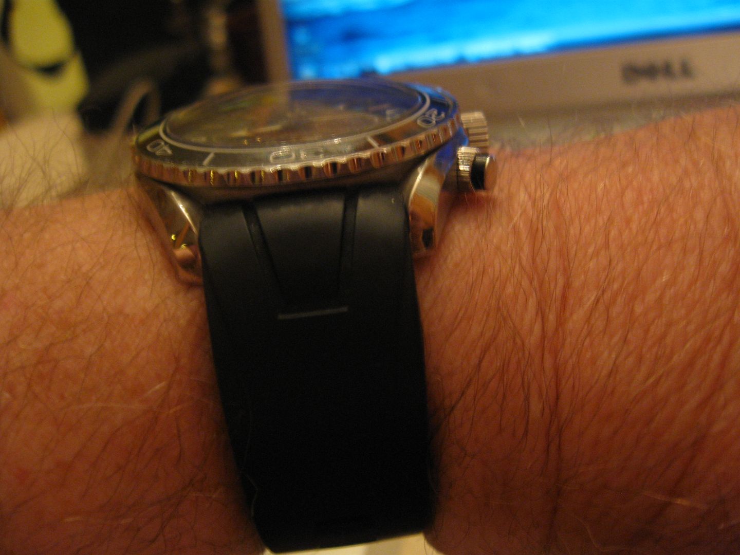 DDSeaMaster009.jpg