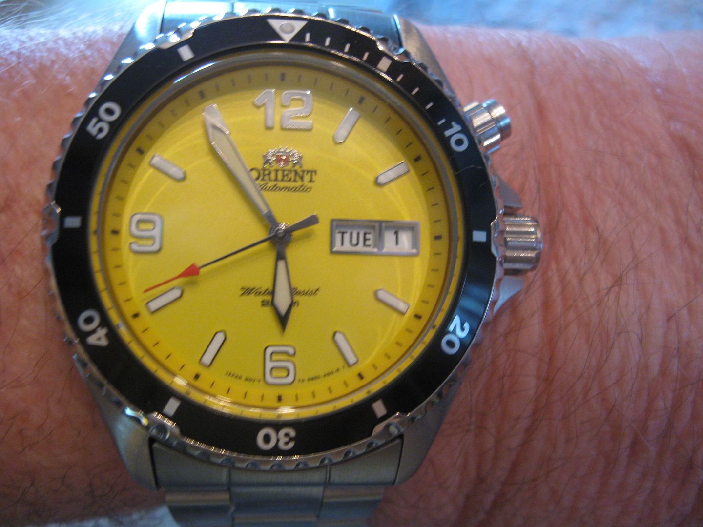 OrientMakoShark003.jpg