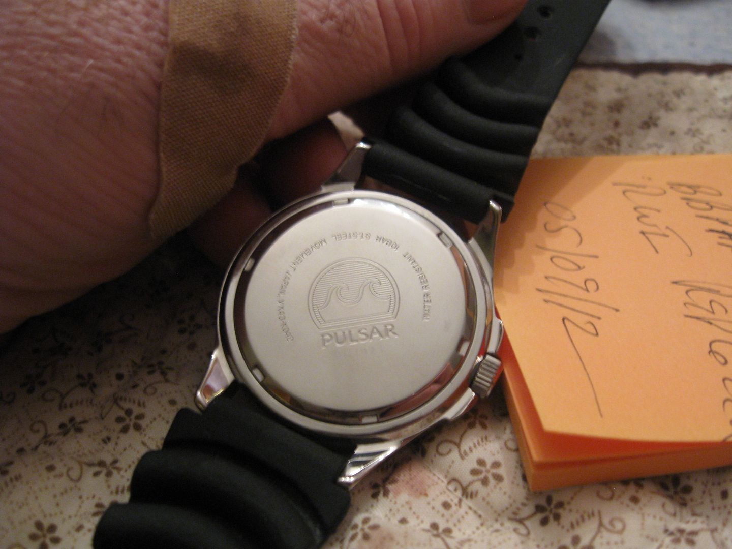PulsarDiver006.jpg