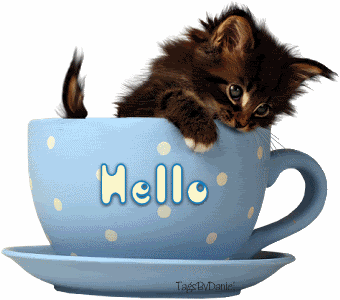 hello photo: hello kitty cup KITTYCUPDAHELLO-vi.gif