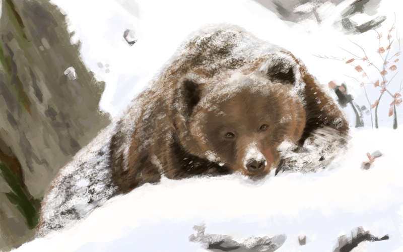 [Image: Chill-Bear_zps3f244255.png~original]