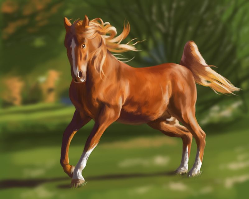 [Image: horse-study_zps15806b92.jpg~original]