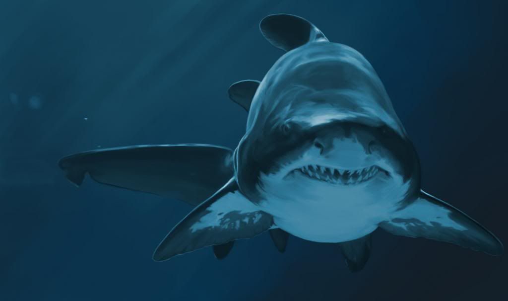 [Image: shark_zps684c827a.jpg]