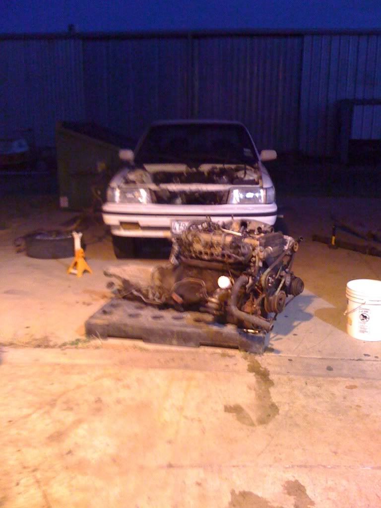 Posted Image