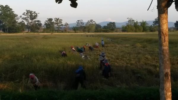 b7d60b21-0350-478d-a8c6-cd667f607b64_zps