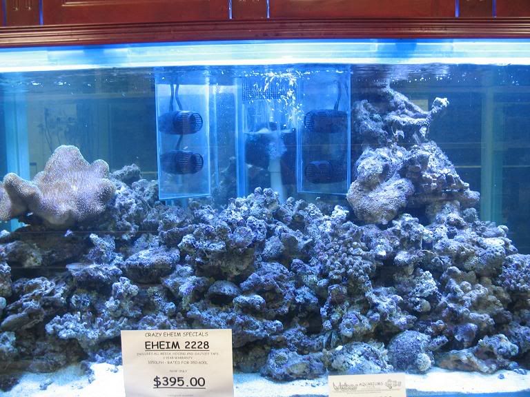 vebas aquarium shop
