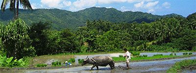 PHILIPPINES