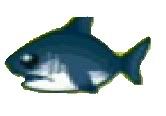 external image shark.jpg?t=1247457480 external image shark.jpg?t=1247457480
