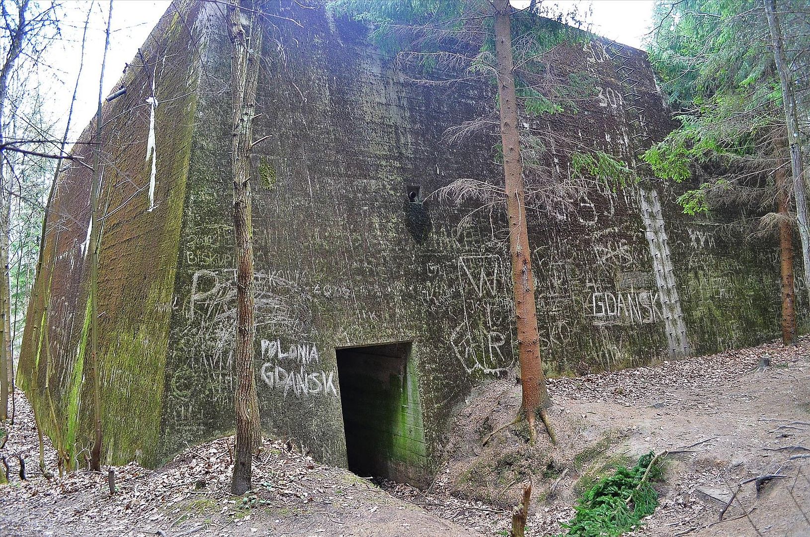 Волчье логово и другие фашистские бункера северо-восточной Польши 