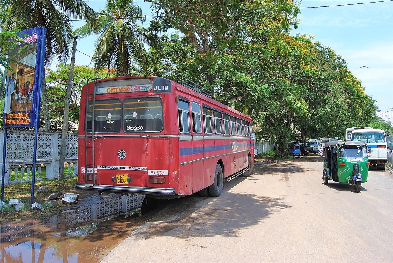 Сутки на Шри-Ланке из-за отмены рейса и милый городок Негомбо (Шри-Ланка) 