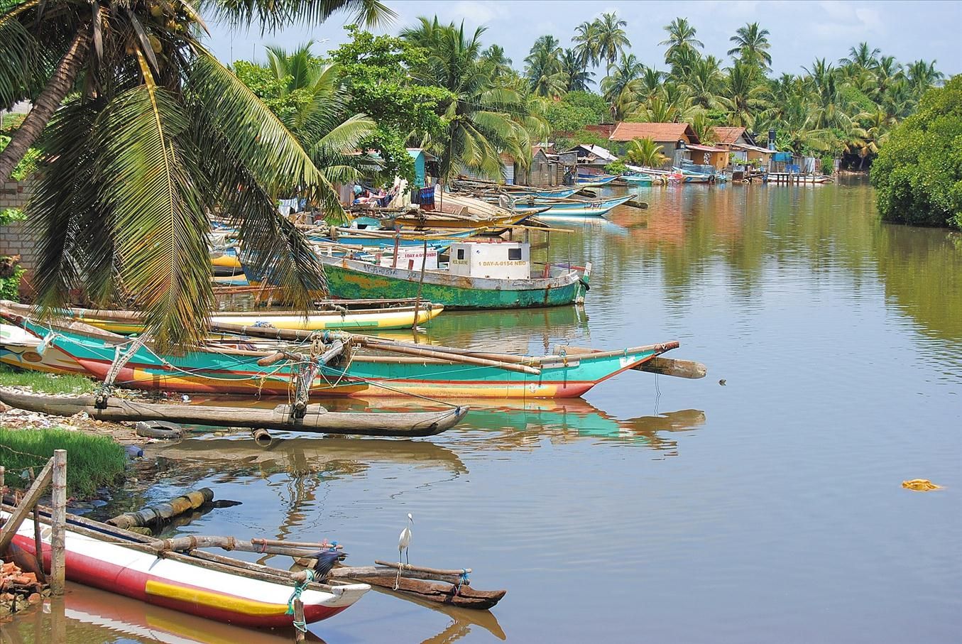 Сутки на Шри-Ланке из-за отмены рейса и милый городок Негомбо (Шри-Ланка) 
