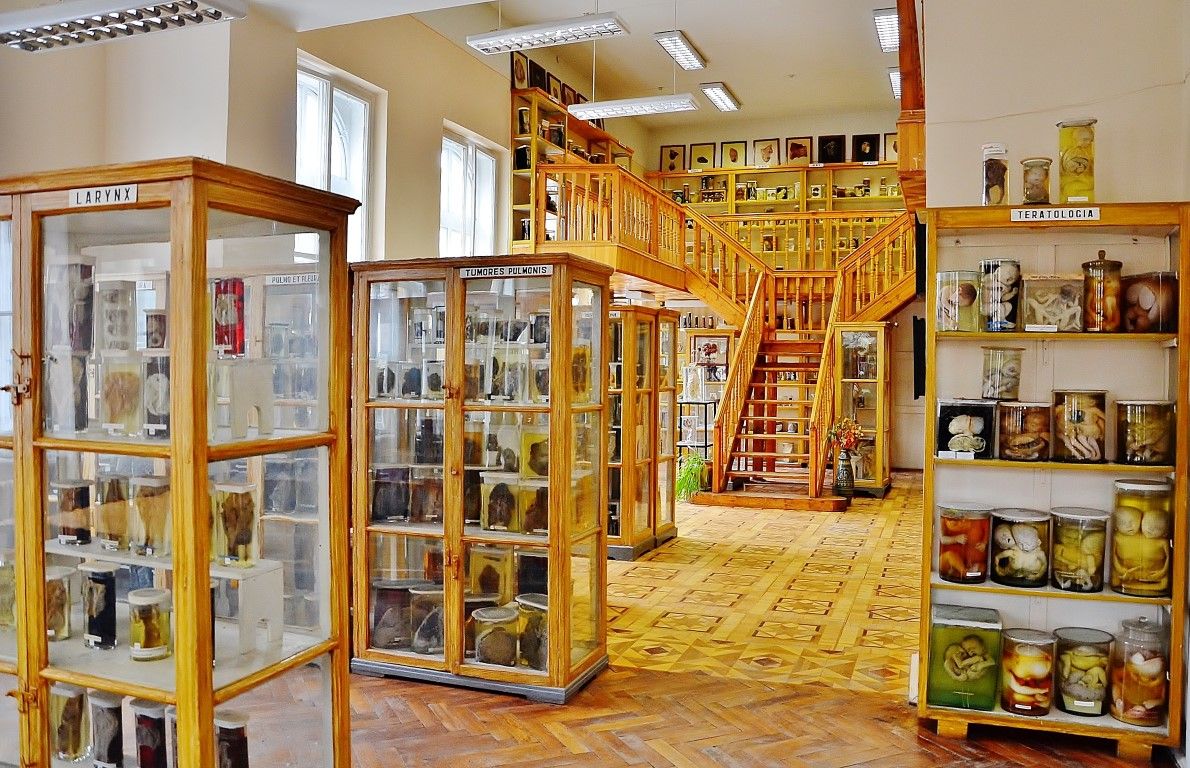 Думаете, вы сами не окажетесь на этом столике? 