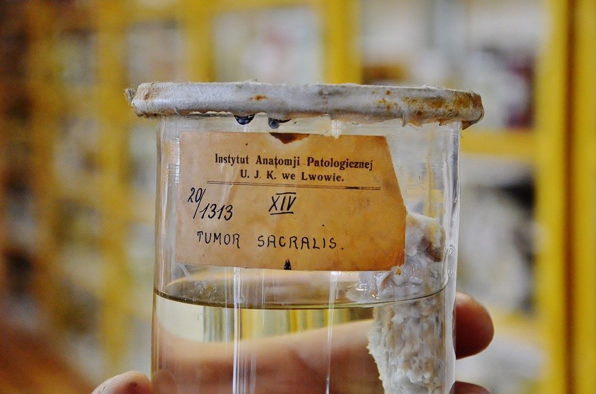 Думаете, вы сами не окажетесь на этом столике? 