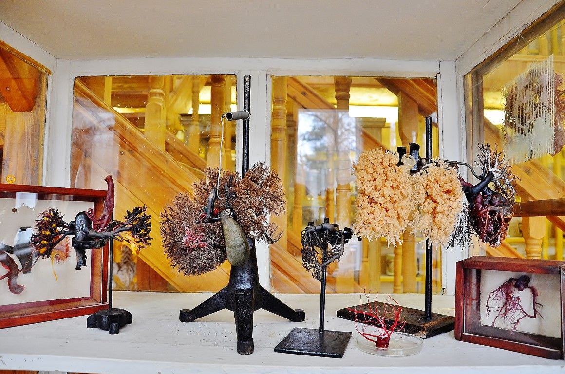 Думаете, вы сами не окажетесь на этом столике? 