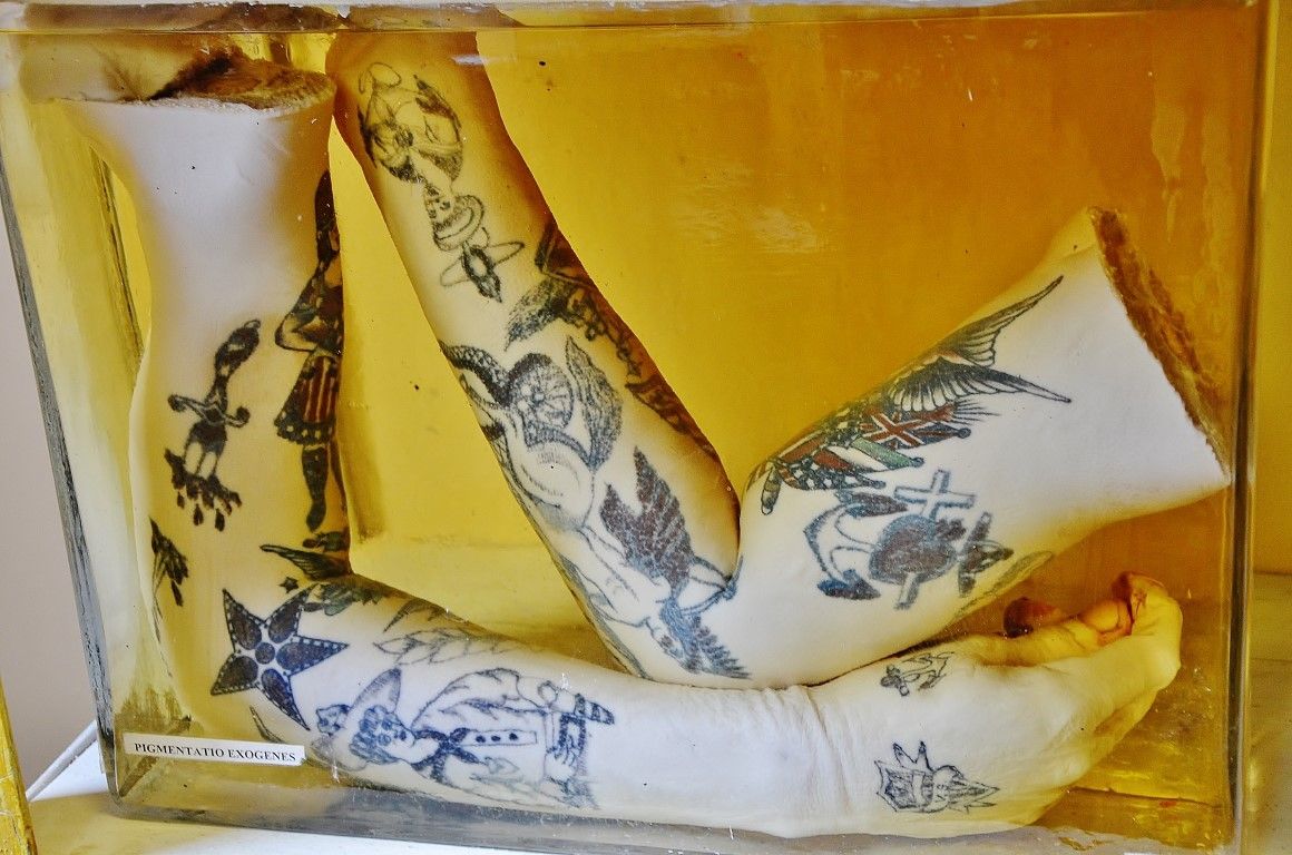 Думаете, вы сами не окажетесь на этом столике? 