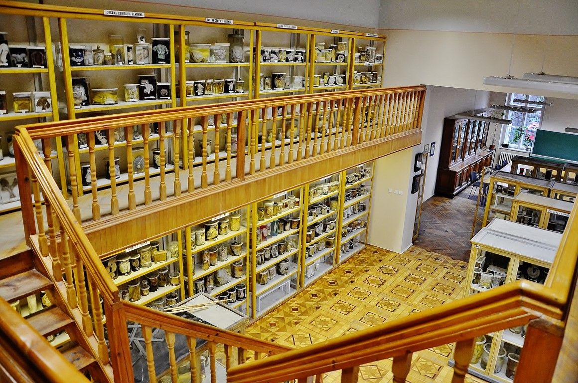 Думаете, вы сами не окажетесь на этом столике? 