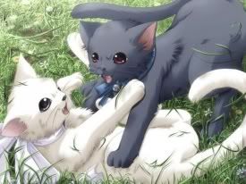 50889m.jpg anime cats image by alexis101_015