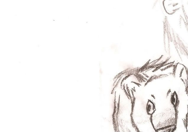 http://i746.photobucket.com/albums/xx109/littletonkslover/lionsketch-1.jpg