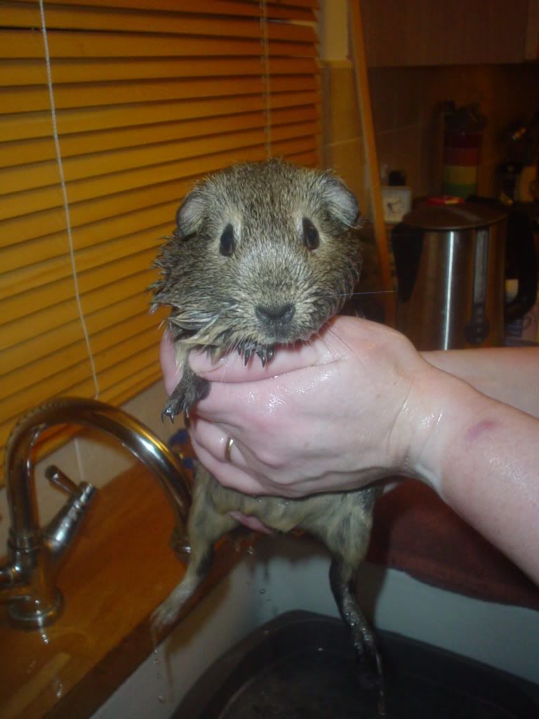 DSC05983.jpg