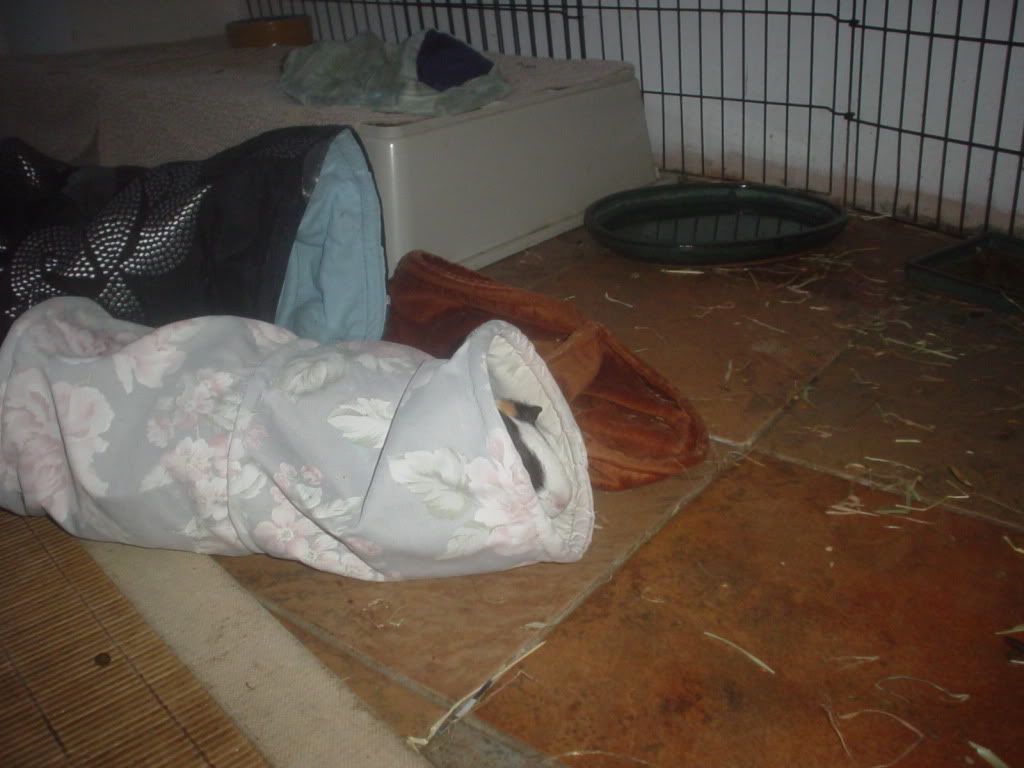 DSC06285.jpg