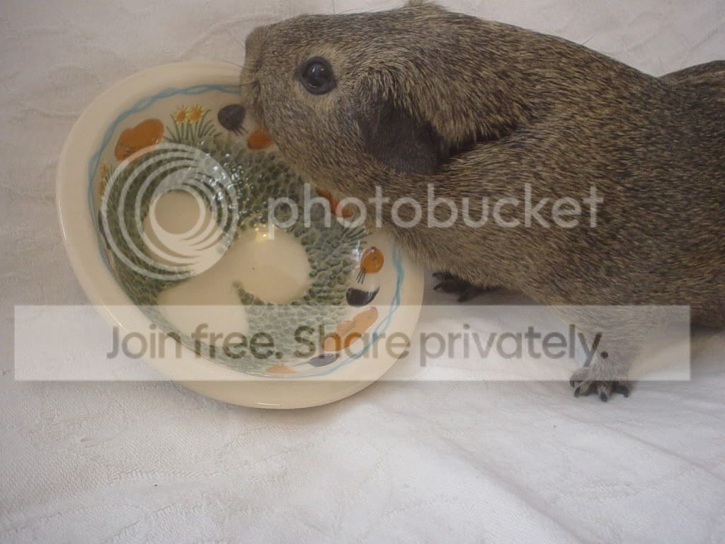 DSC06302.jpg
