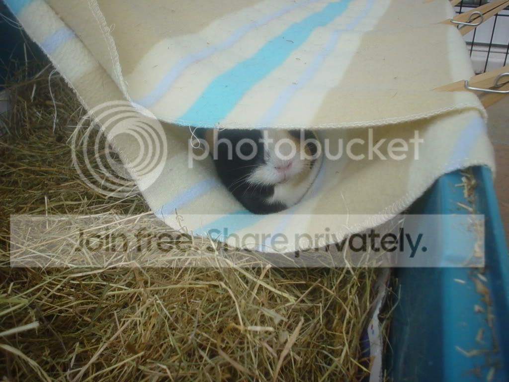 DSC06417.jpg