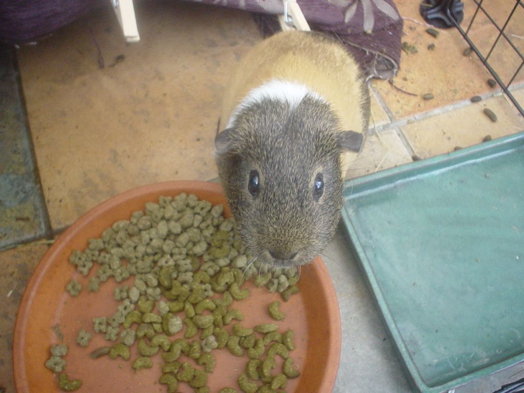 DSC06616.jpg
