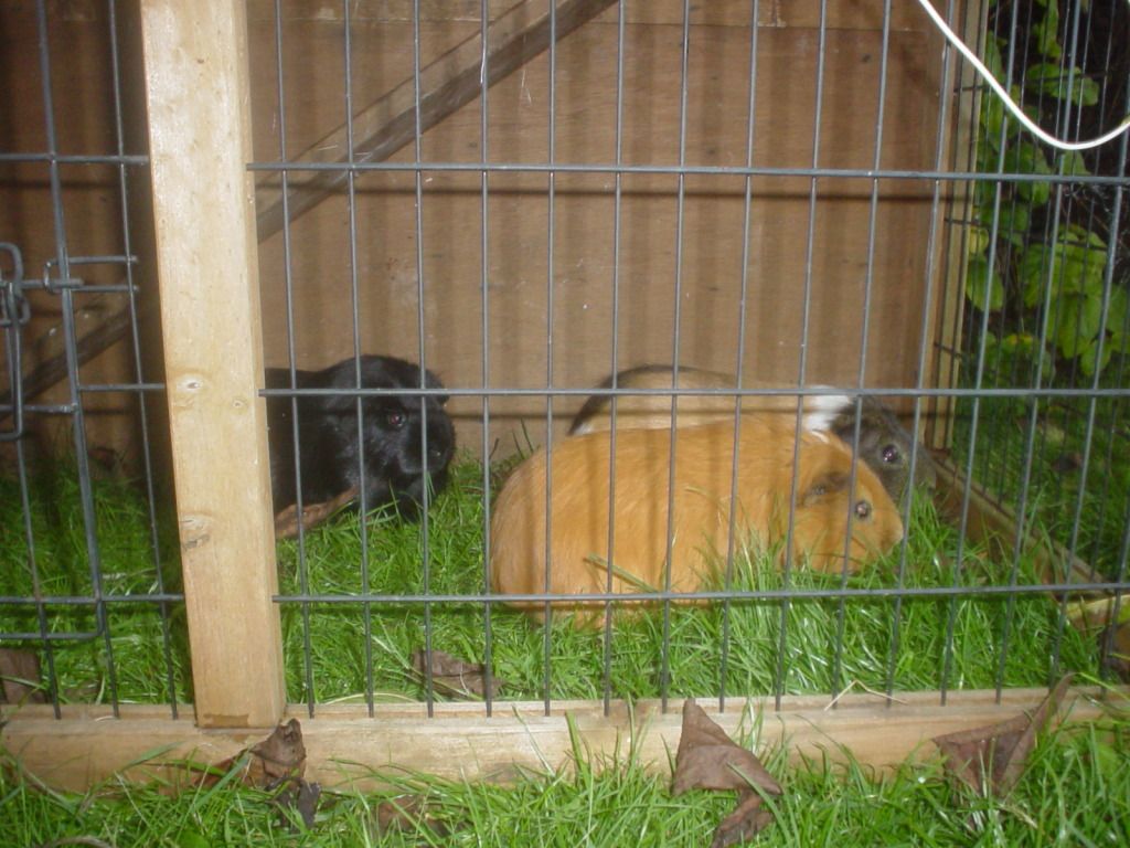 DSC06620.jpg