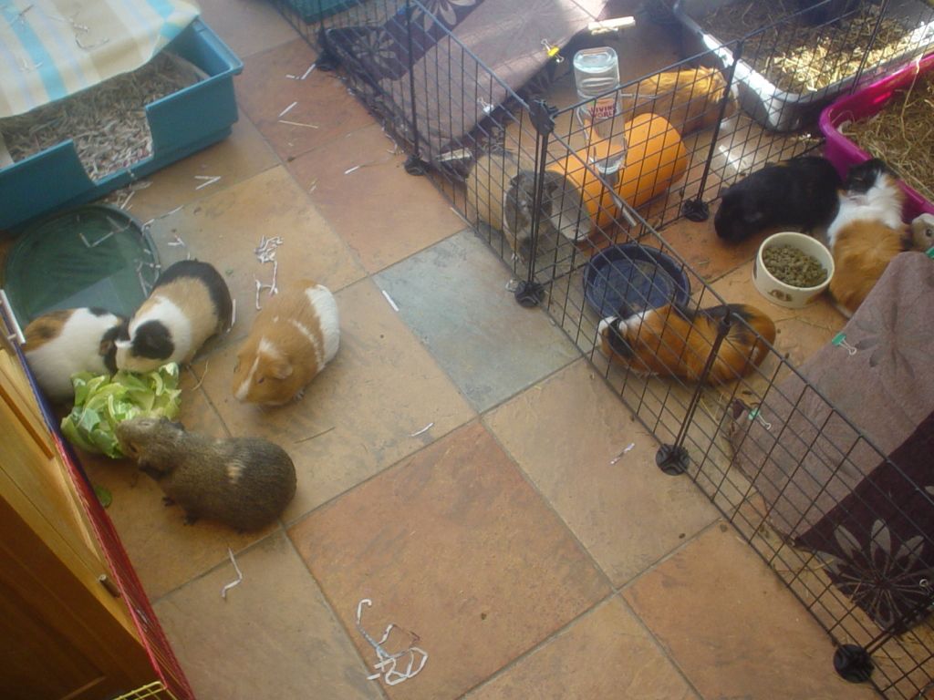 DSC06639.jpg