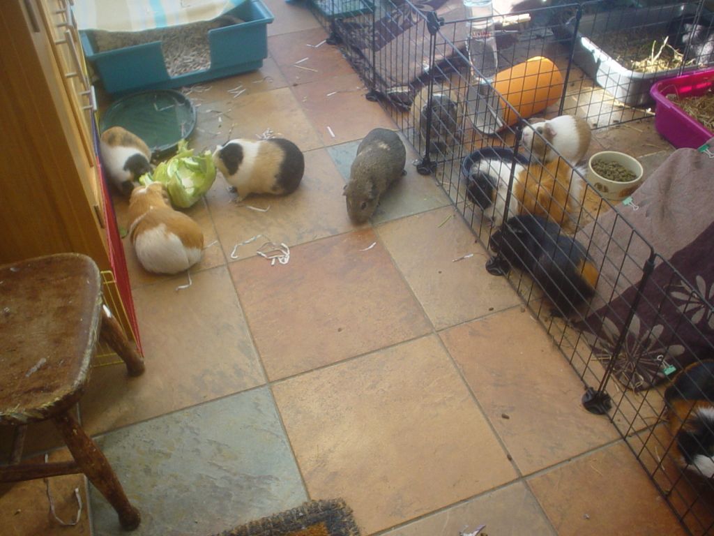 DSC06641.jpg