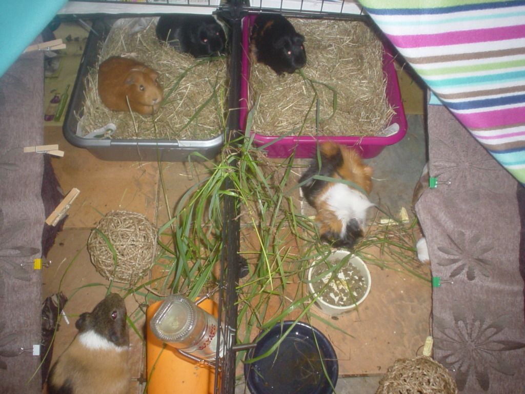 DSC06645.jpg