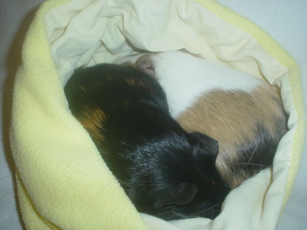 DSC06651.jpg