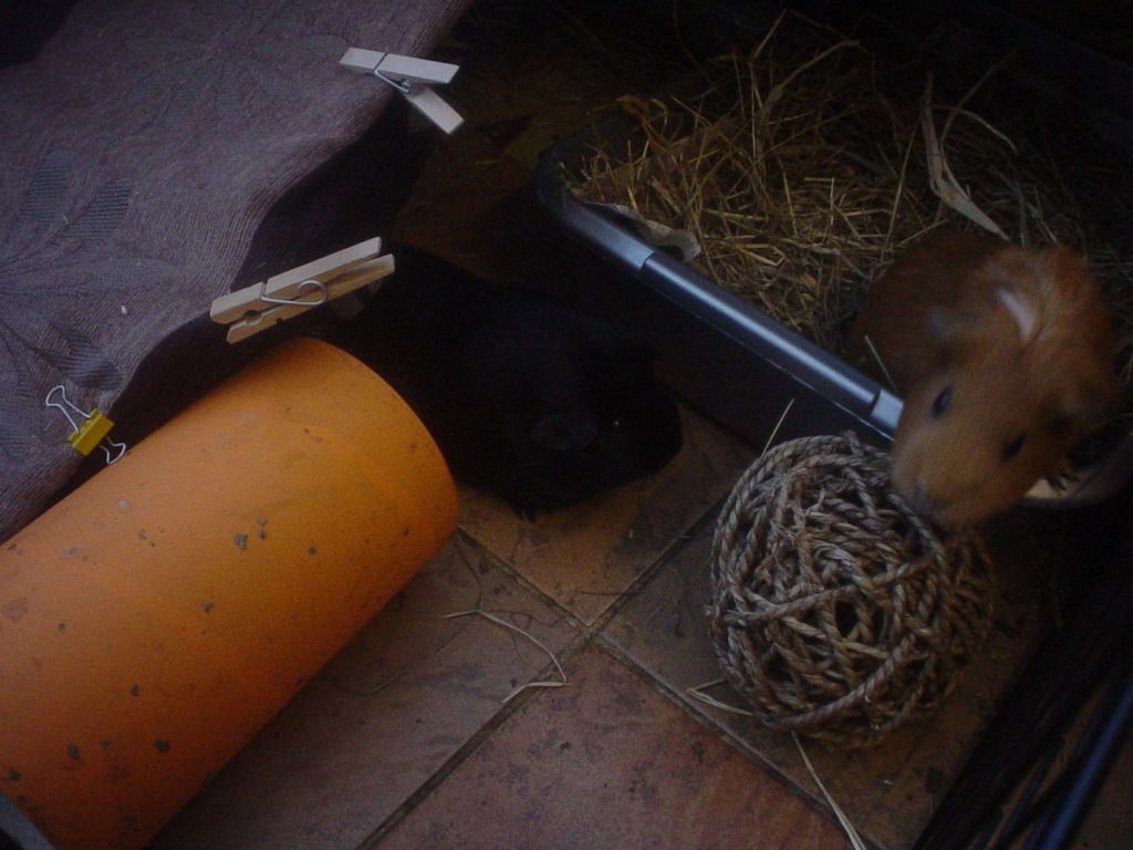 DSC06705.jpg