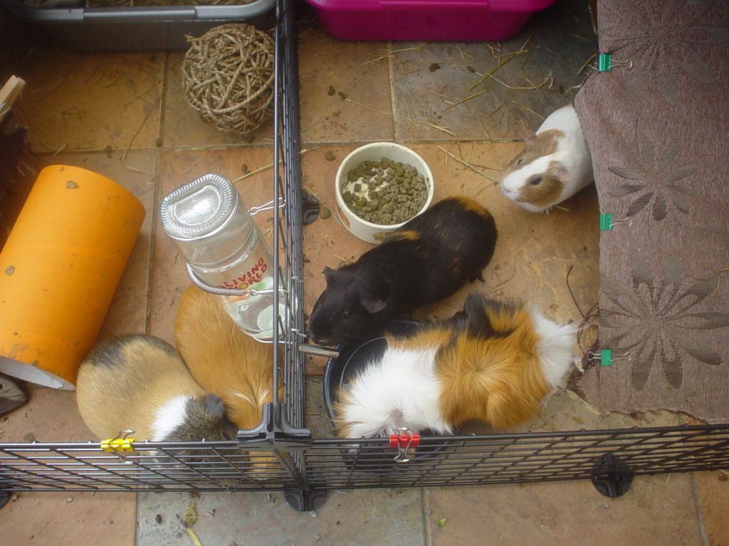DSC06718.jpg