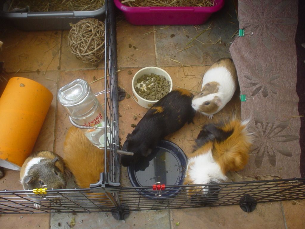 DSC06719.jpg