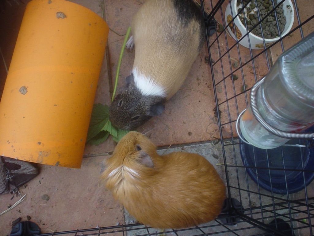 DSC06721.jpg