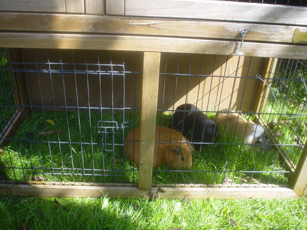 DSC06736.jpg