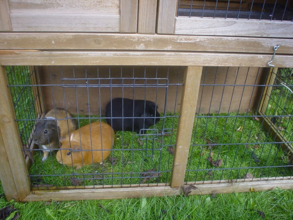 DSC06737.jpg