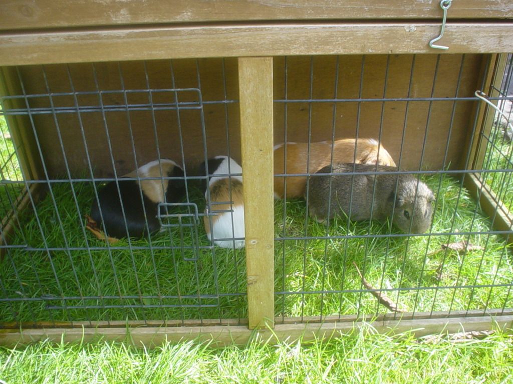 DSC06739.jpg