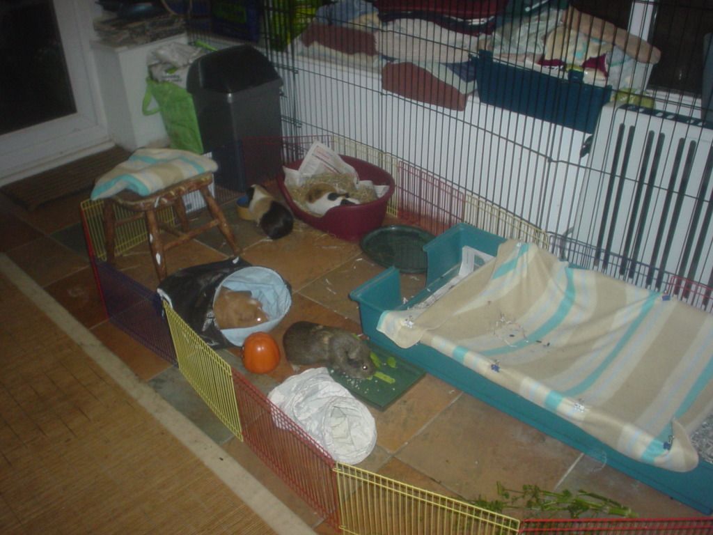 DSC06749.jpg