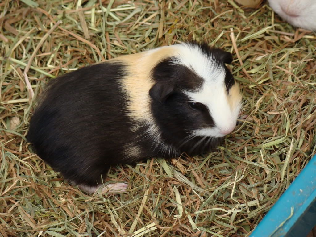 DSC01211.jpg