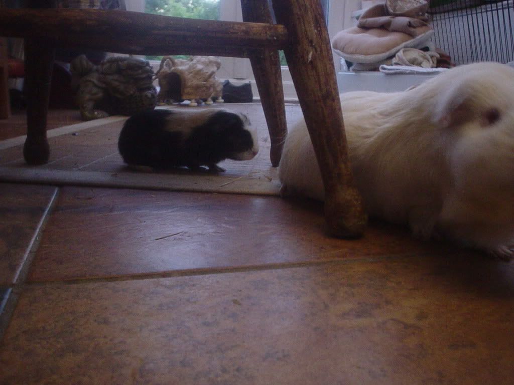 DSC05172.jpg